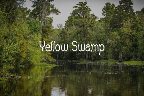 Yellow Swamp: A Playful Display Font Worth Testing